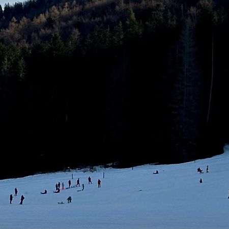Willa Na Potoku Zakopane Exteriér fotografie