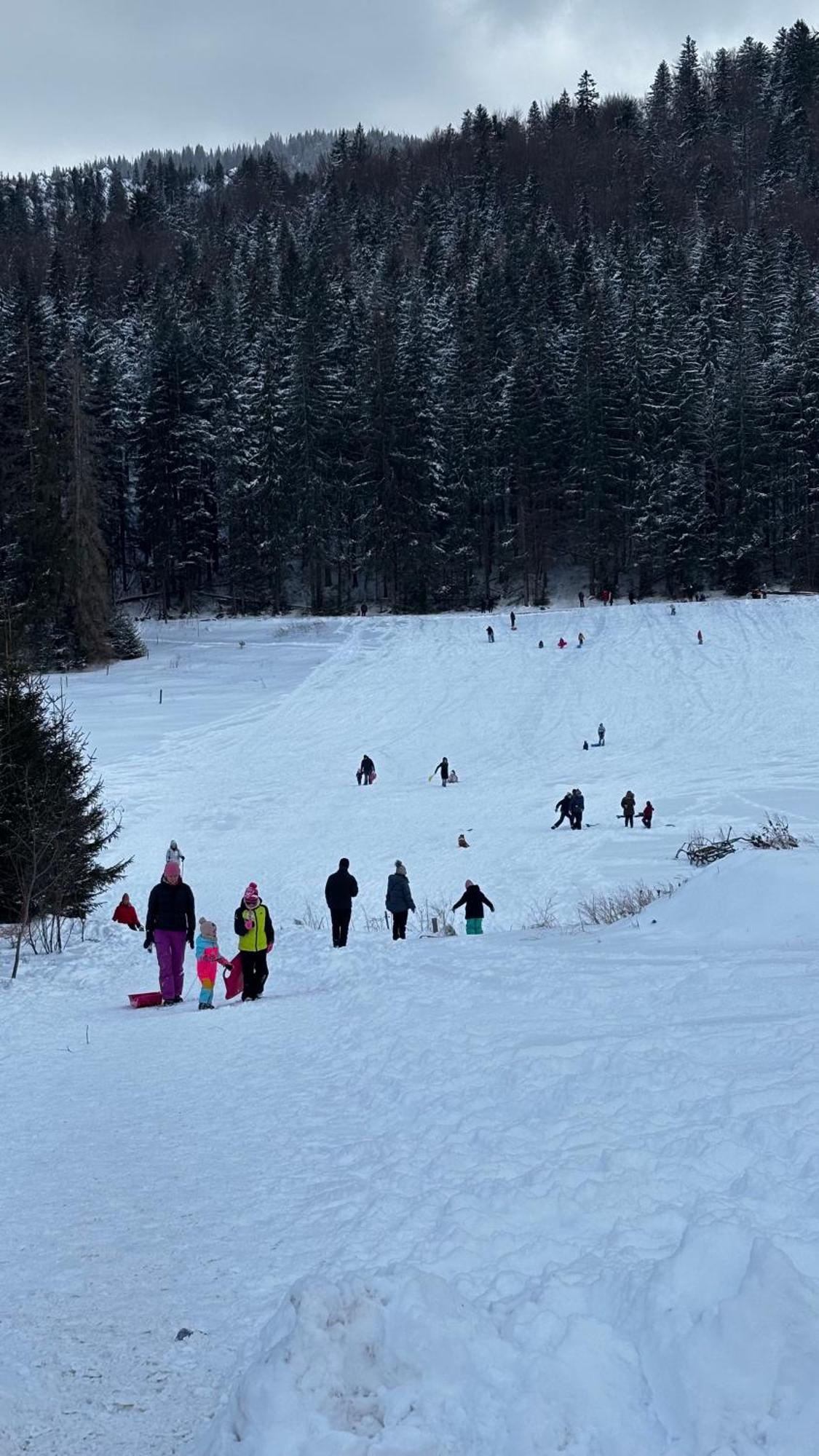 Willa Na Potoku Zakopane Exteriér fotografie